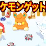 ポケスリ新ポケモン「パモ」と「アローラロコン」をゲットするホリデー睡眠リサーチ配信【ポケモンスリープ】【Pokémon Sleep】