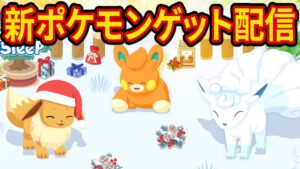 ポケスリ新ポケモン「パモ」と「アローラロコン」をゲットするホリデー睡眠リサーチ配信【ポケモンスリープ】【Pokémon Sleep】