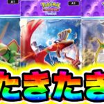 【ポケポケ】新パック情報きた!!ぶっ壊れ新カードが全て判明しました!! ポケポケ最新情報 ポケポケ新パック ポケポケナス ポケポケヒカキン ポケポケ砂時計 ポケポケミュウツー ポケポケリセマラ