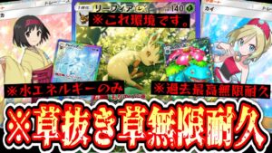 【緊急】草エネ不採用フシギバナ!?〝カイ×エリカ〟無限回復リーフィア【デッキ紹介】Pokémon Trading Card Game Pocket