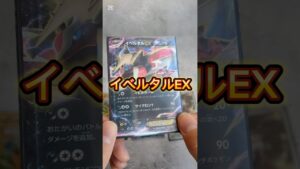 〇〇した人のカード#ポケカ #ポケモンカード #ポケカ開封 #ポケモン #pokemon #pokemoncards #ピカチュウ #ダンスホール