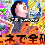 【ポケポケ】誰も使っていない最新の１エネだけで環境破壊するデッキが冗談抜きで強すぎたwww