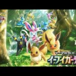 【ポケポケ】世界ランク2位のガチランクマッチ【イーブイガーデン】