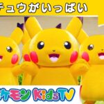 【ポケモン公式】ピカチュウがいっぱい－ポケモン Kids TV【こどものうた】