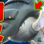 【ポケポケ/対戦】超優遇ポケモン「ドンファンex」!! 環境デッキ達に先攻上振れ最強ムーヴを狙え👊(vsアクジキングex/ダークライexギラティナexなど)