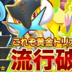 この3匹、神相性【ポケポケ/ライコウ】