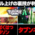 【ポケモンZA】レベル上げの裏技！公式想定外の最高効率が見つかるｗ【レジェンズZA】