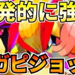 【ポケポケ】新カードまじ強い『メガピジョット』メガポケモン『イリマ』回収全回復できるのヤバイので紹介します【Pokémon Trading Card Game Pocket】