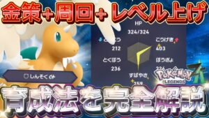 【ポケモンZA】神速カイリューが金策・経験値・周回で強い！の育成方法・わざ選びを徹底解説！初心者もできます【Pokémon LEGEKDS Z-A/Switch2/ポケモンレジェンズZA】
