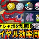 【ポケモンZA】王冠やオシャボを乱獲する『ZAロワイヤル∞効率周回パ』を考えたので紹介します！！！【ポケモンレジェンズZA/Switch2】