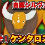【ポケポケ】ポケモン？動物？ケンタロスexを救います。